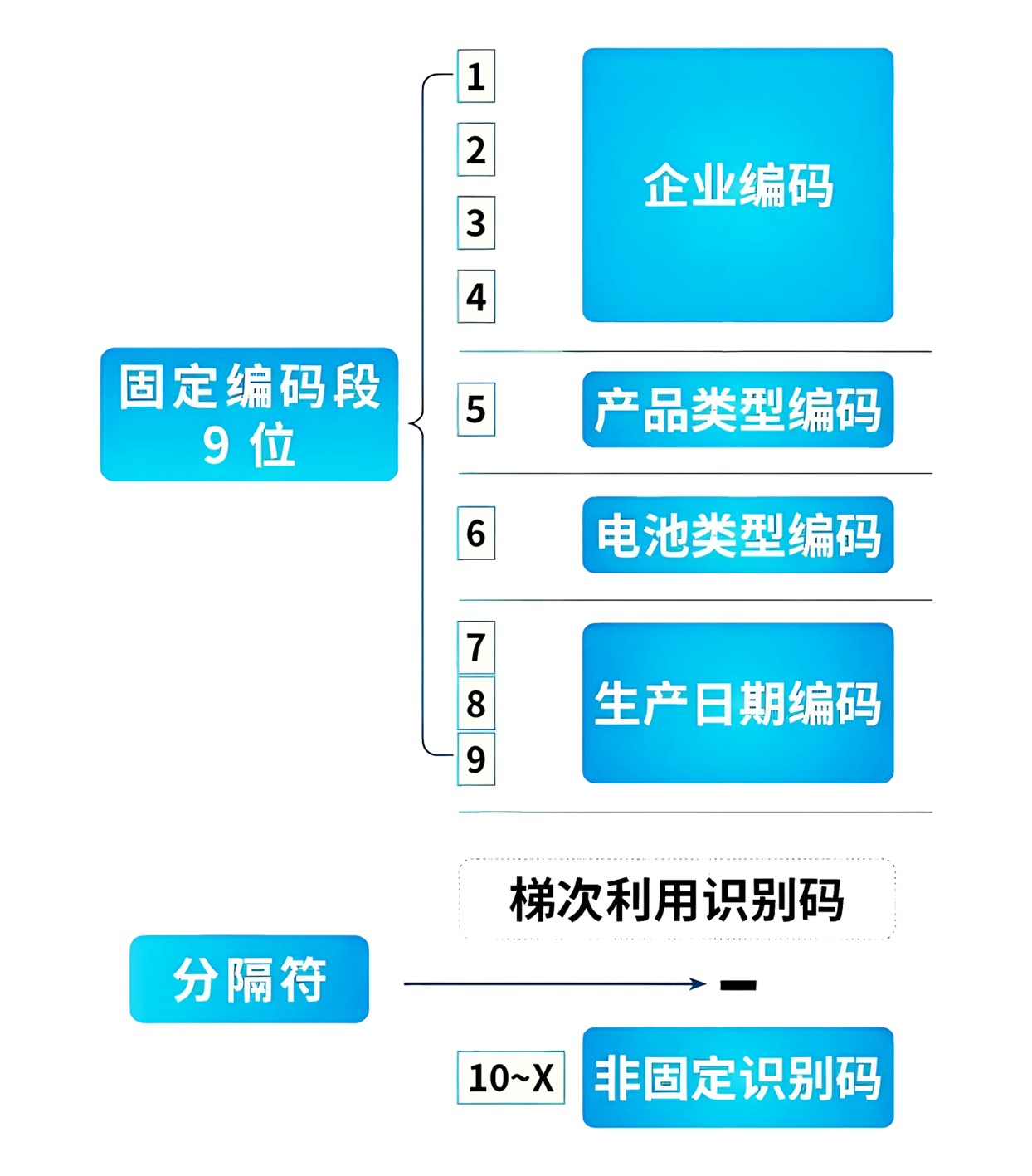 编码结构.jpg